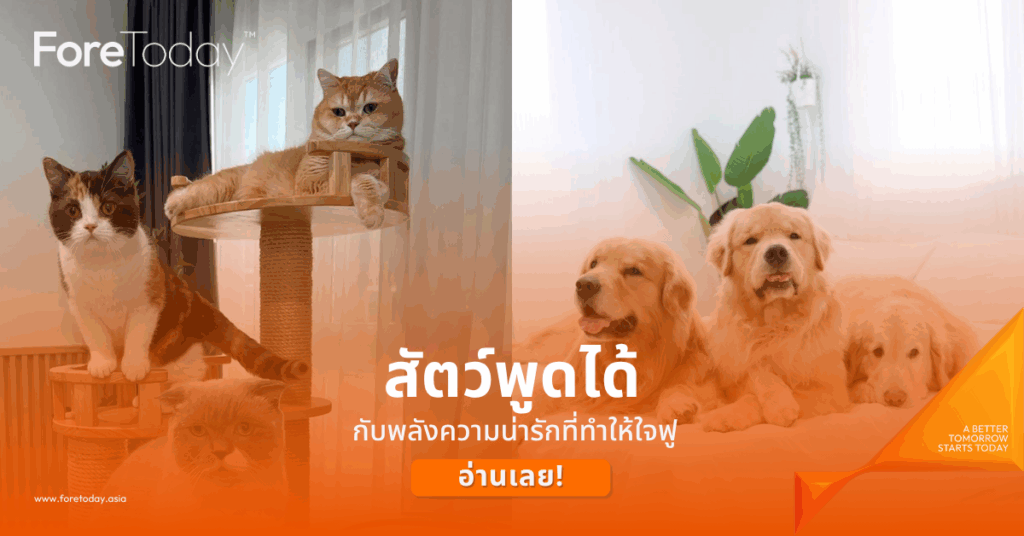 สัตว์พูดได้ กับพลังความน่ารักที่ทำให้ใจฟู