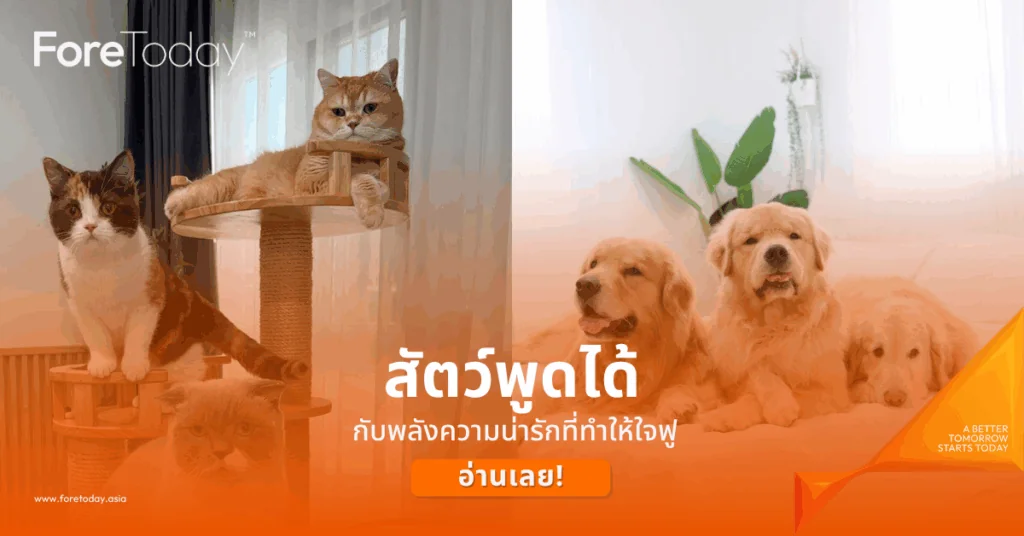 สัตว์พูดได้ กับพลังความน่ารักที่ทำให้ใจฟู